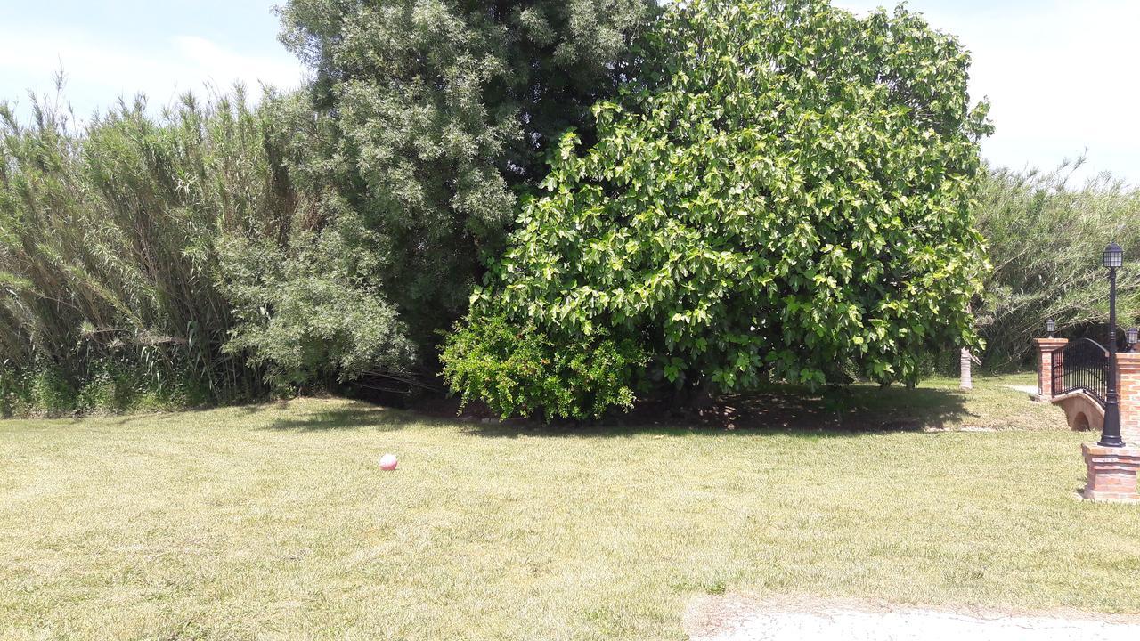 Quinta Da Abrunheira Leilighet Vimieiro  Eksteriør bilde